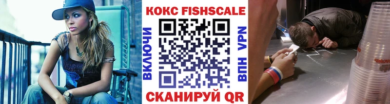 где продают наркотики  Новомичуринск  Кокаин FishScale 