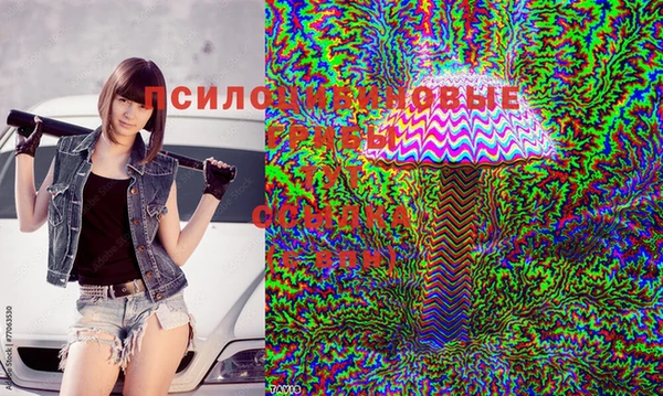 соль ск Алексин